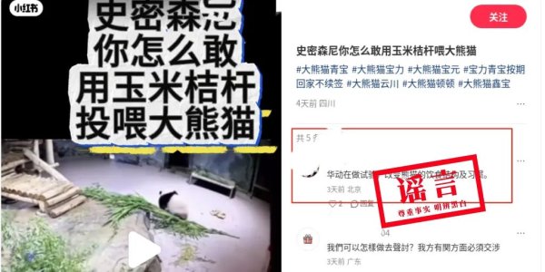 三叶草策略 华盛顿动物园用玉米秆做改变大熊猫饮食结构实验？谣言！