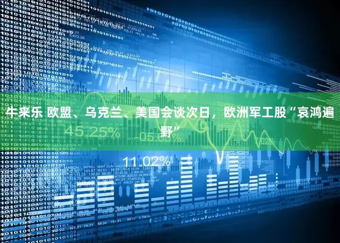 牛来乐 欧盟、乌克兰、美国会谈次日，欧洲军工股“哀鸿遍野”