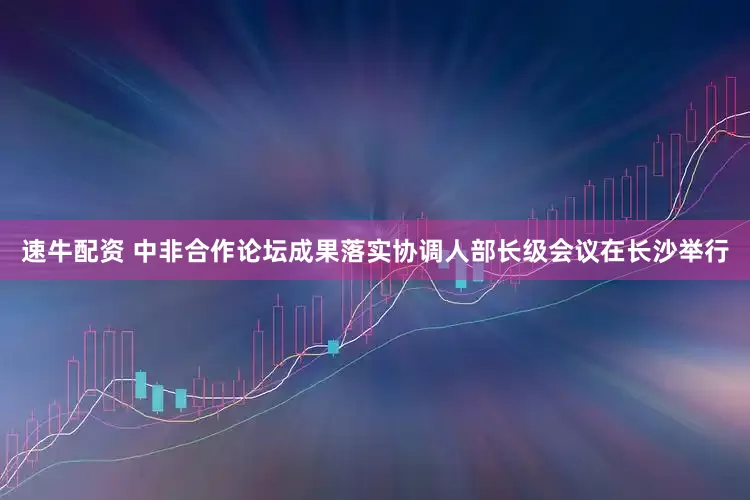 速牛配资 中非合作论坛成果落实协调人部长级会议在长沙举行